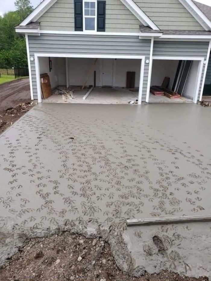Estaban poniendo cemento en una casa nueva junto a un estanque con patos. Se fueron a comer mientras secaba y al volver encontraron esto