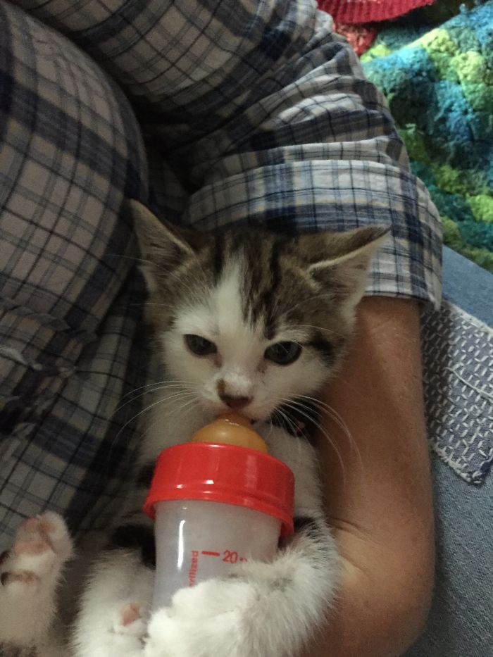 Abandoned By Her Birth Mom, Bottle Fed By Her Real Mom