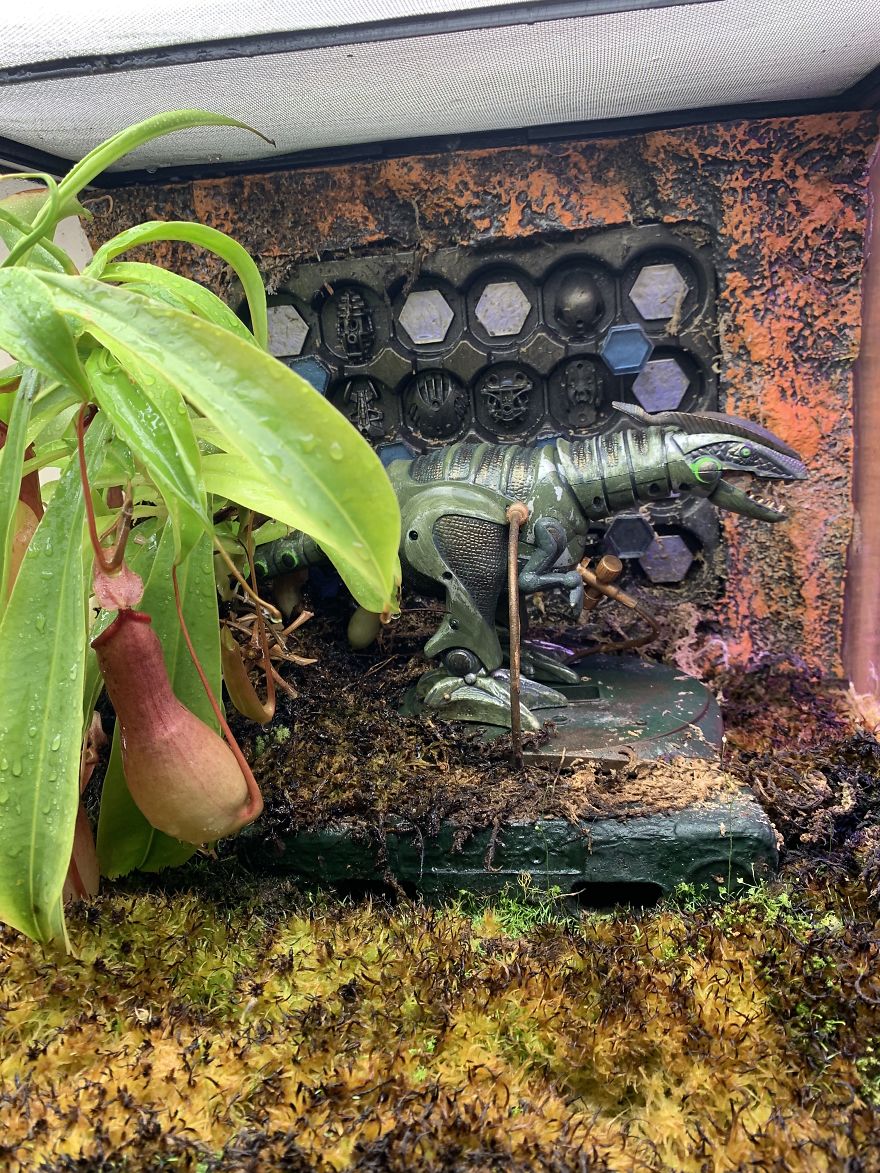 I Visited Texas Triffid Ranch: Dallas’s Carnivorous Plant Gallery (14 Pics)