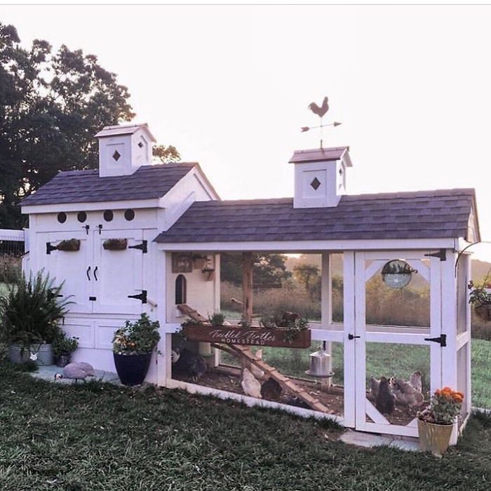 30 Times People Got Creative With Their Chicken Coops And Built These Gems