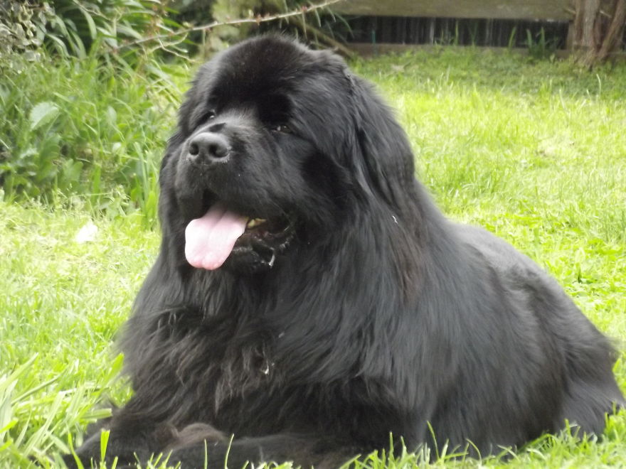 Old Midnight Old Midnight
