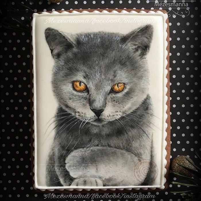 Hungarian Chef Turns Cookies Into Works Of Art; And Your Pet Can Be Honored In One Of Them