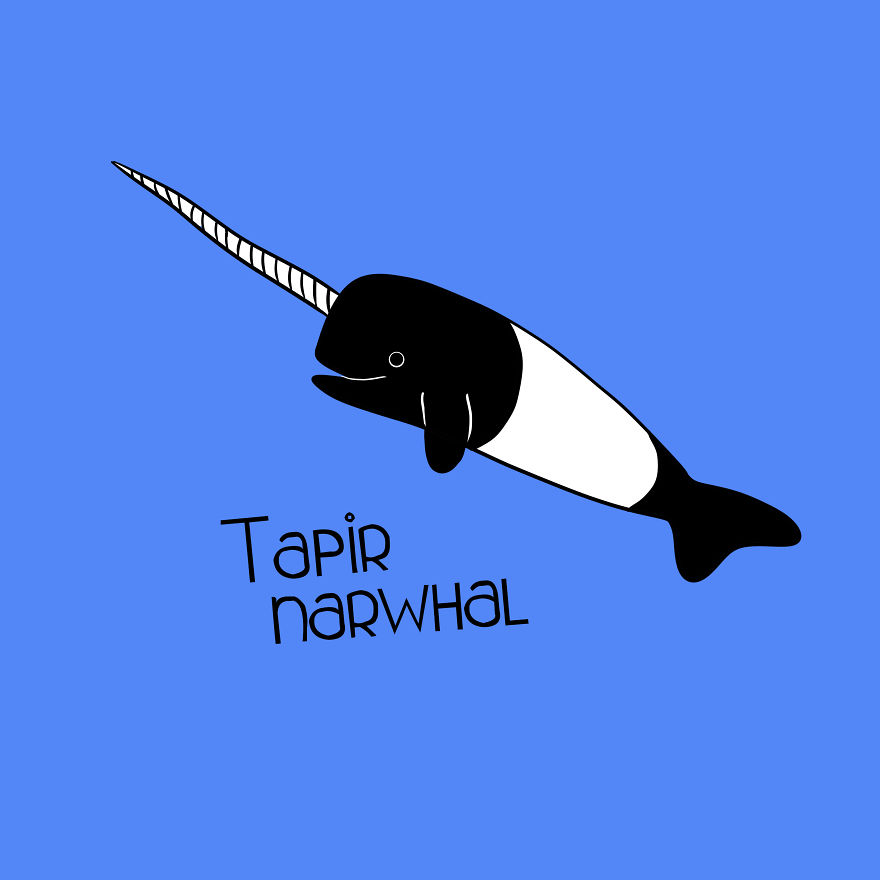 Tapir Narwhal