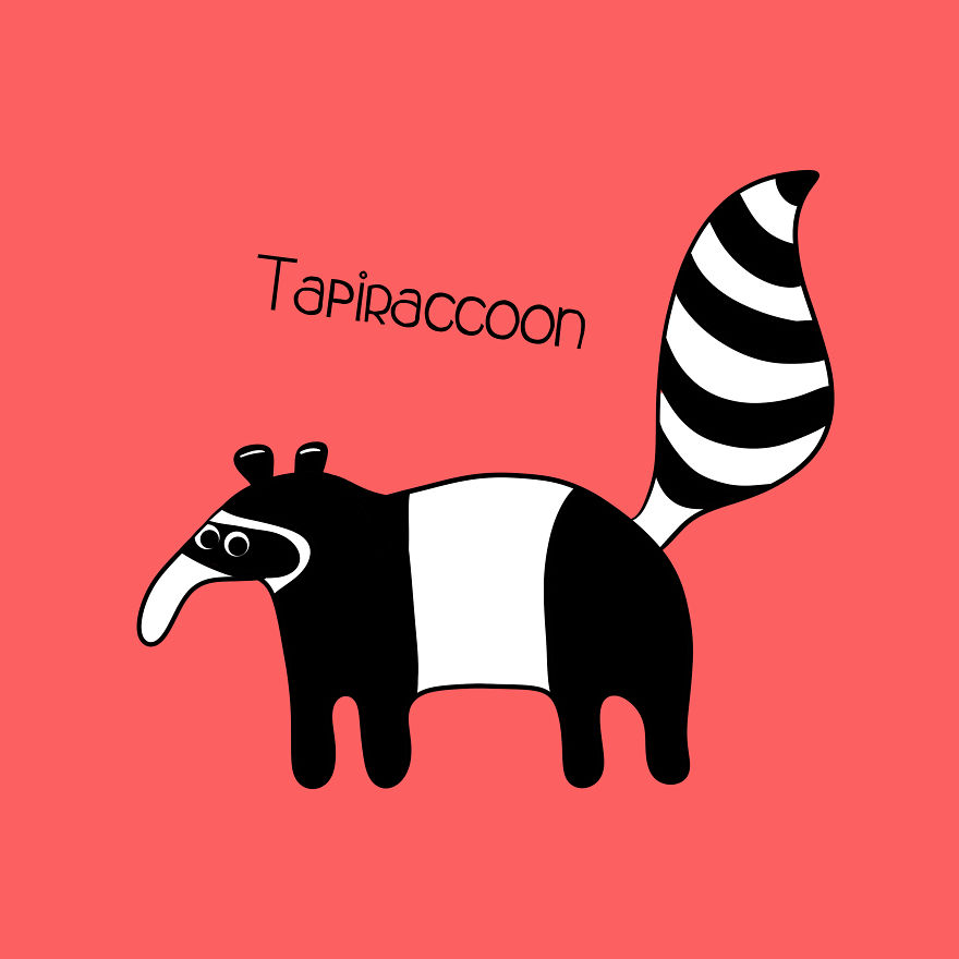Tapiraccoon