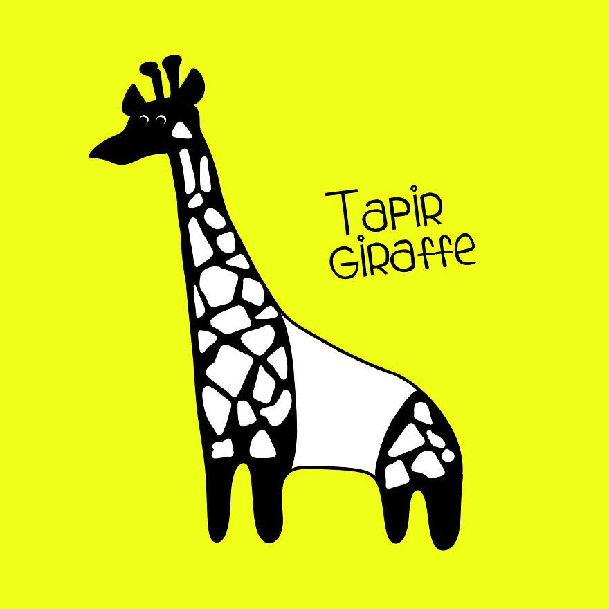 Tapir Giraffe