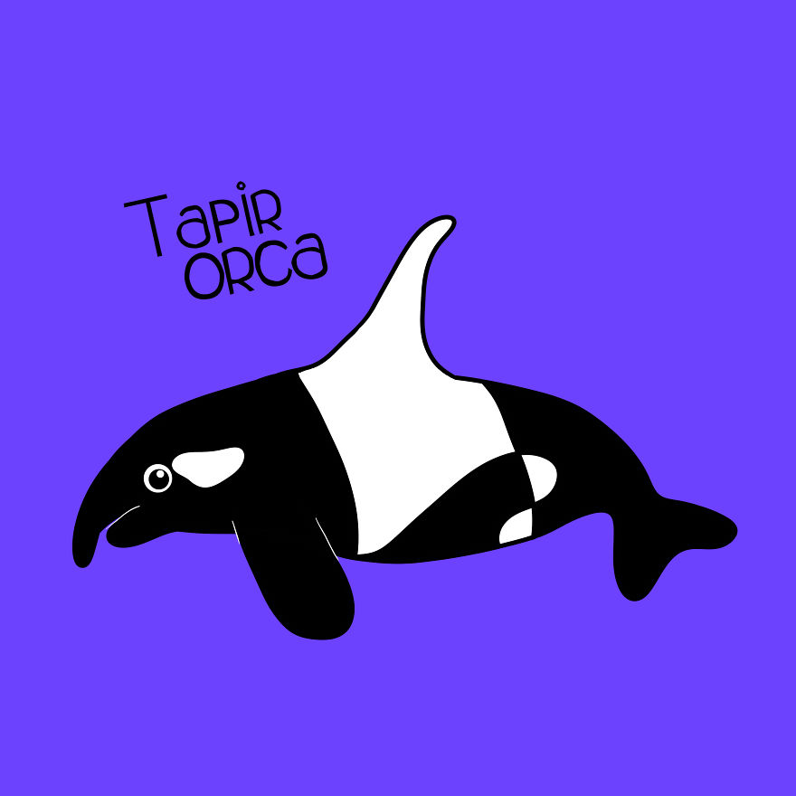 Tapir Orca