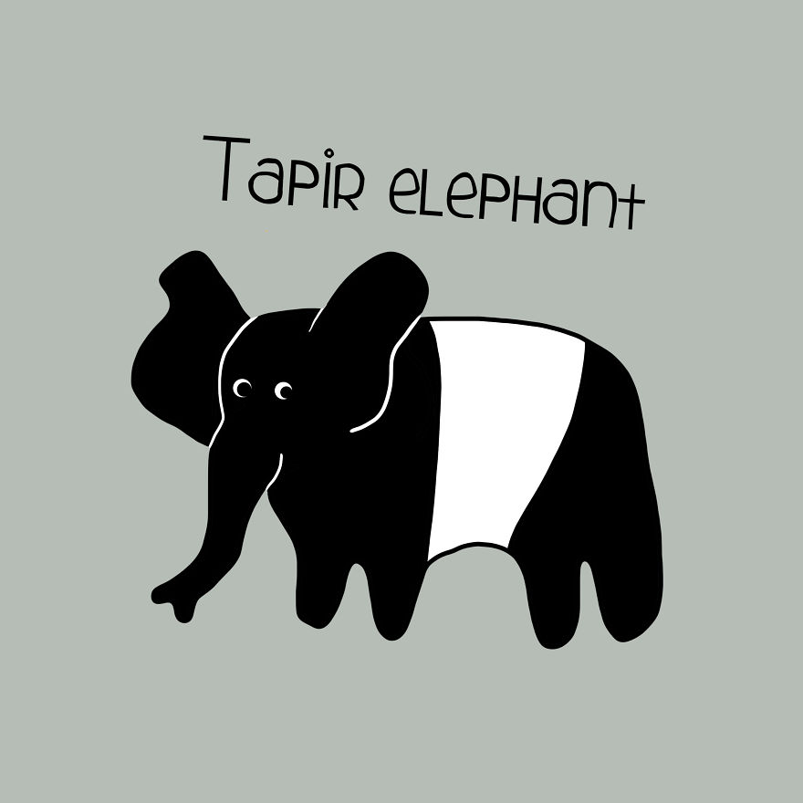Tapir Elephant