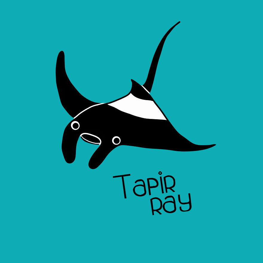 Tapir Ray
