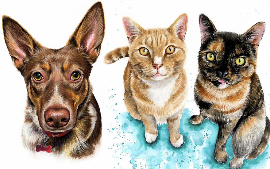 I Paint Colourful Pet Portraits I Paint Colourful Pet Portraits