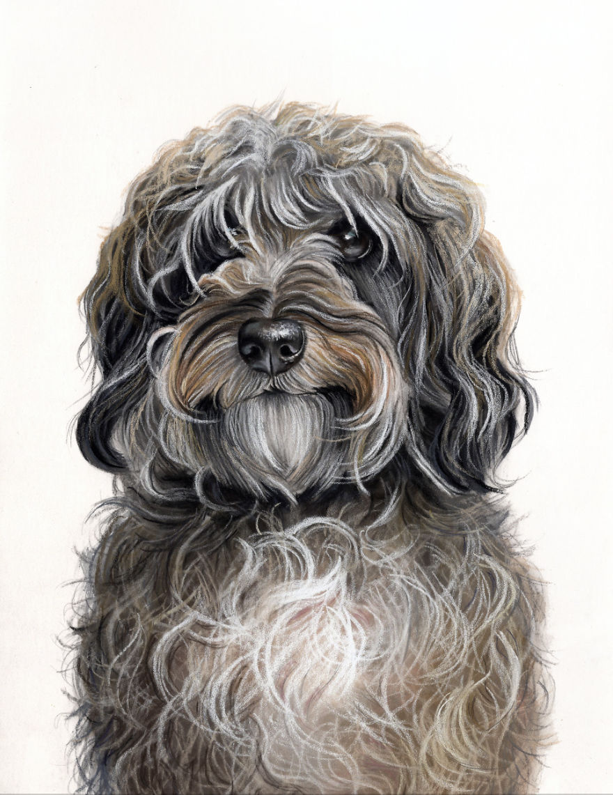 I Paint Colourful Pet Portraits I Paint Colourful Pet Portraits