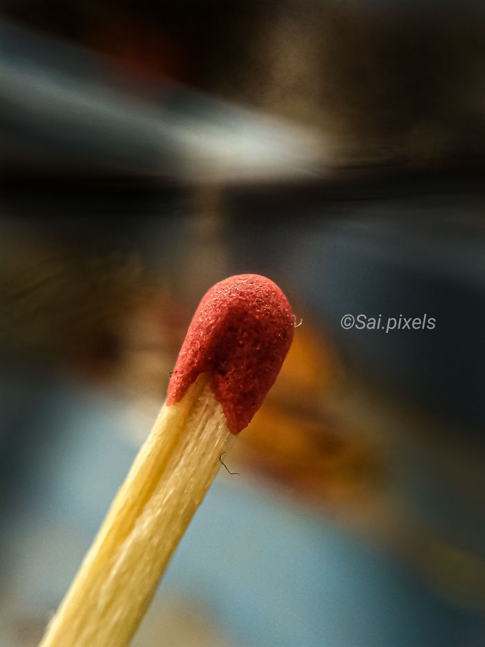 My Micro Photography Pictures Show This World In A Different Way (12 Pics)