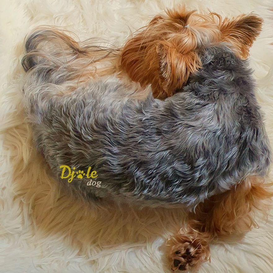 Interesting Sleep Pose