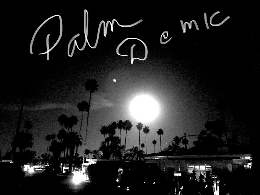 Palmdemic