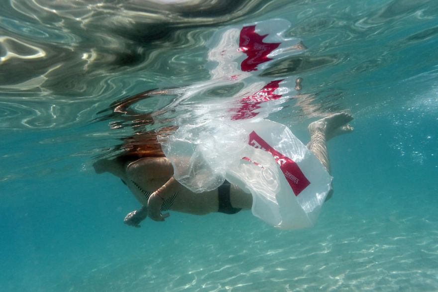 Plastic Bag Free Day 2020: July 3 Plastic Bag Free Day 2020: July 3