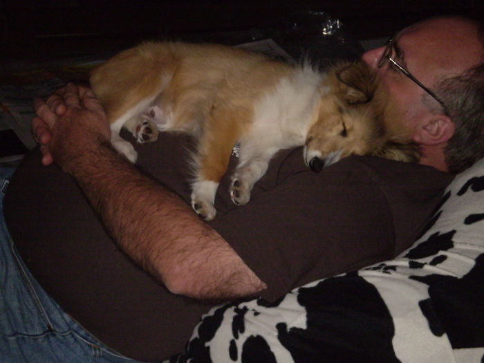 Jazz. 4 Months. Ahh A Nice Warm Pillow. Dad N Daughter.