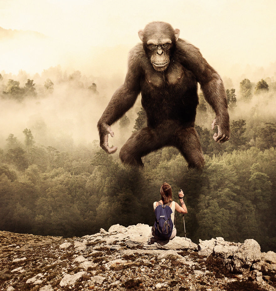 I Create These Photo Manipulations With Animals And Nature (10 Pics)