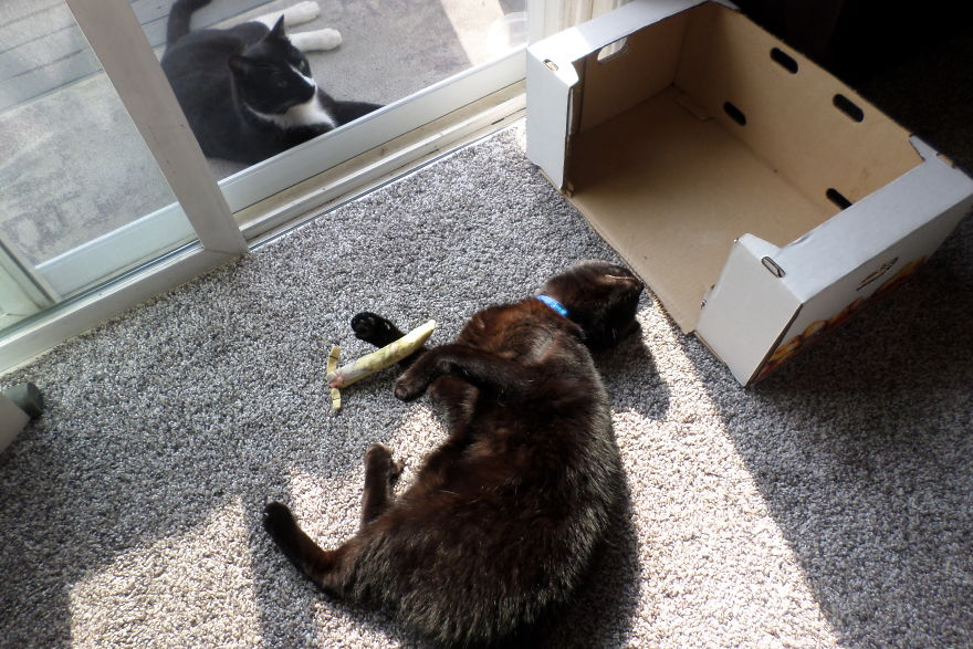 To Poster #28 Regarding "Tux":