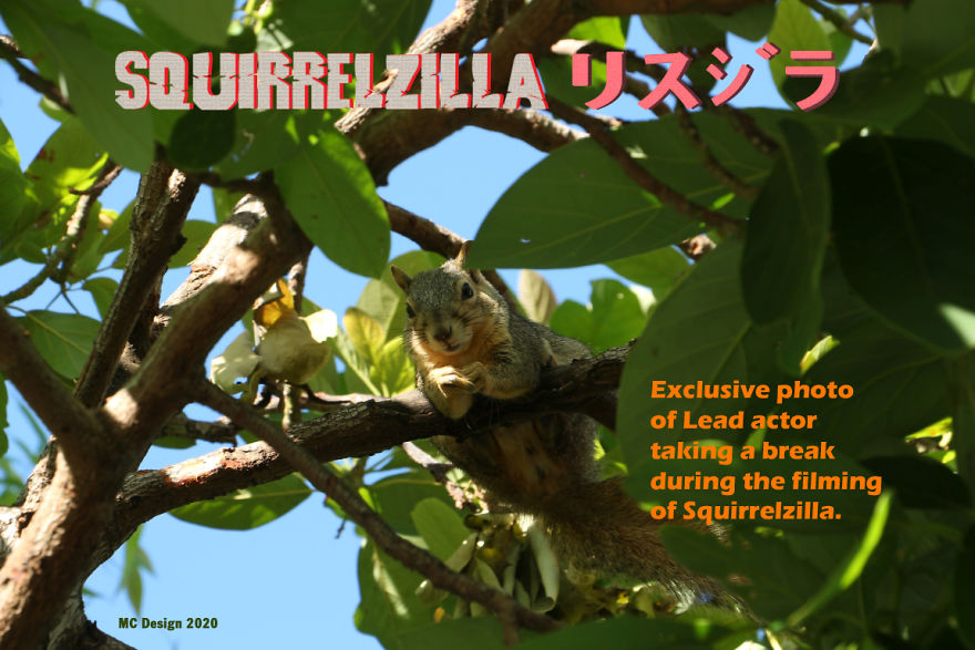 "Squirrelzilla -The Viral Monster Attacks The World"