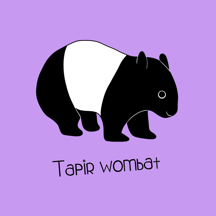 Tapir Wombat