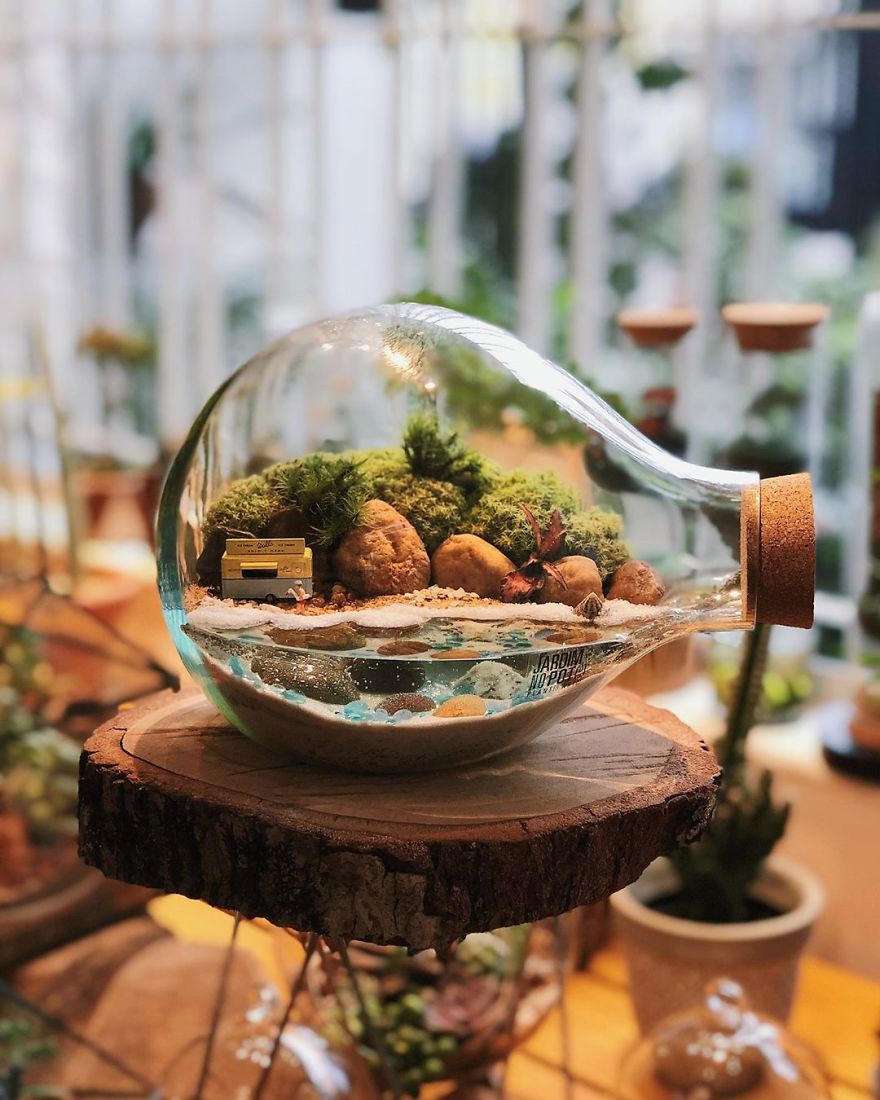 This Company Makes Incredible Micro Ecosystems In Pots And You Will Definitely Want One In Your Home