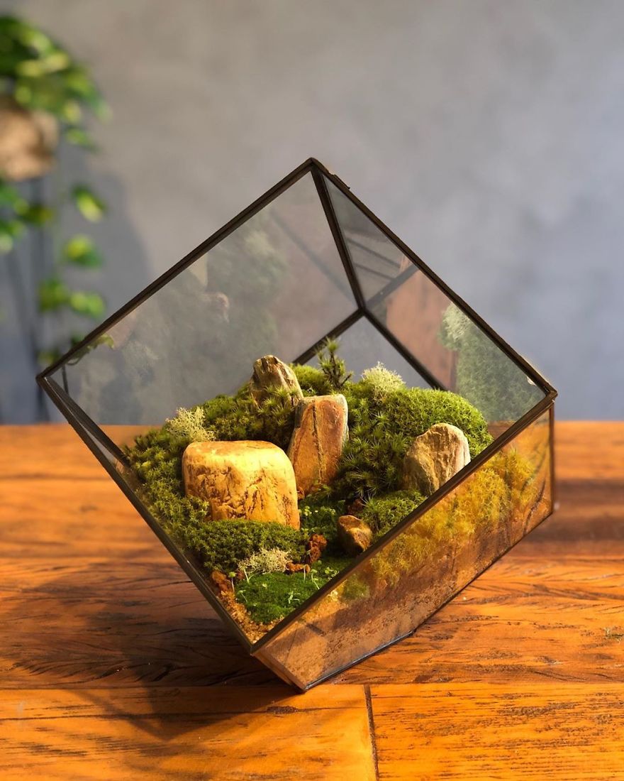 This Company Makes Incredible Micro Ecosystems In Pots And You Will Definitely Want One In Your Home