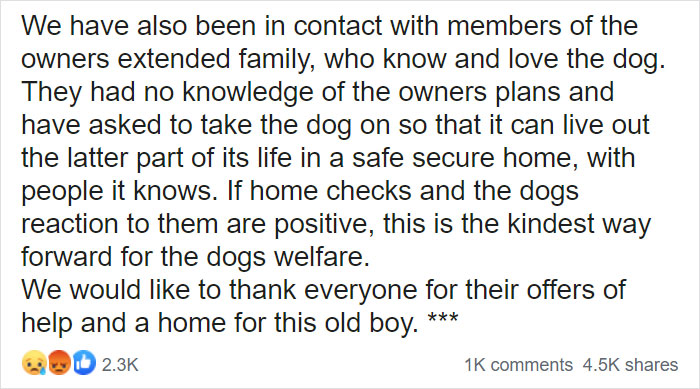 "I Haven't Learnt To Be Good": People Find An Abandoned Elderly Labrador With A Note