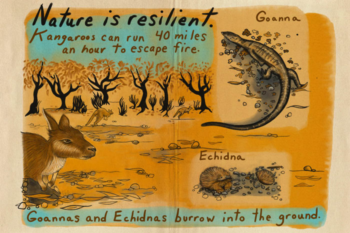 Artist Tells A Heart-Wrenching Story Of The '19-20 Australian Bushfires In 12 Sad But True Sketches