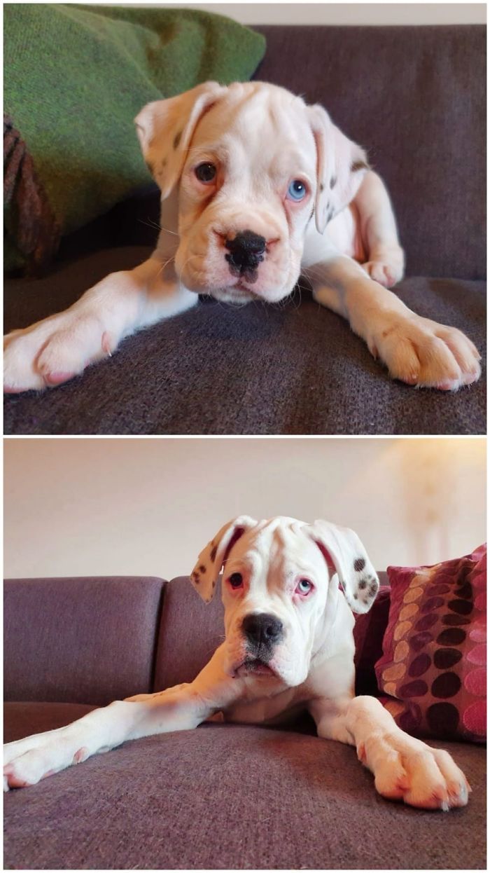 Betty Age 2 Months And 5 Months.
