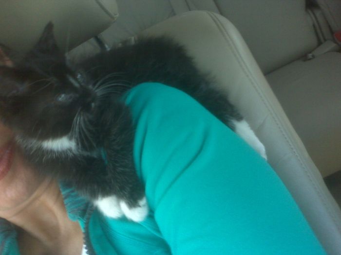 Blickle On The Entire Ride Home From Foster Family To Her Forever Family...