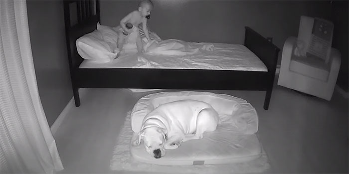 Camera Captures Adorable Moment Little Boy Sneaks Out Of His Bed To Sleep With His Dog