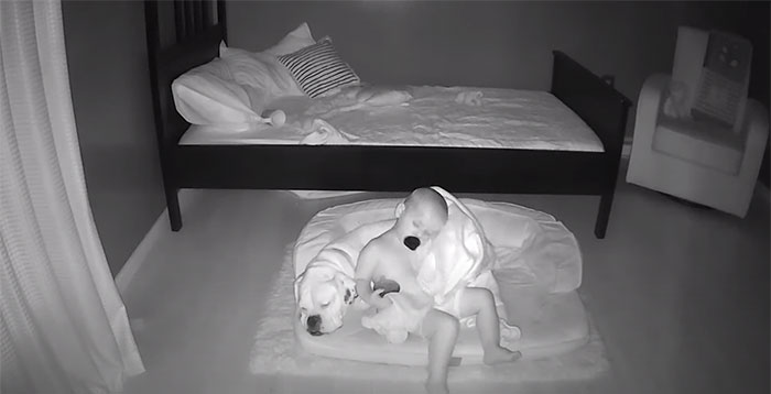 Camera Captures Adorable Moment Little Boy Sneaks Out Of His Bed To Sleep With His Dog