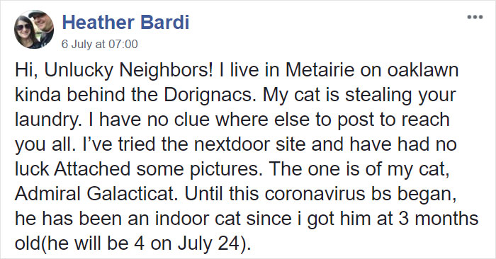 Woman Learns Her Cat Has Been Stealing Neighbors' Laundry, Asks People To Identify Their Things And Shame The Cat