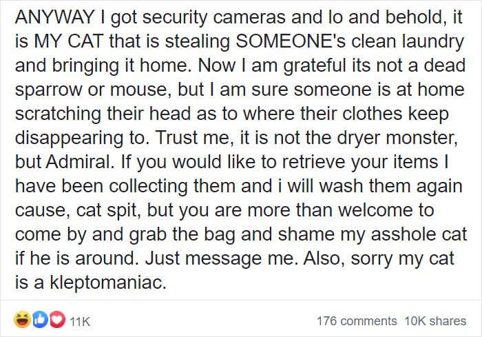 Woman Learns Her Cat Has Been Stealing Neighbors' Laundry, Asks People To Identify Their Things And Shame The Cat