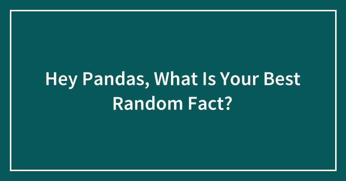 Hey Pandas, What Is Your Best Random Fact? (Closed)