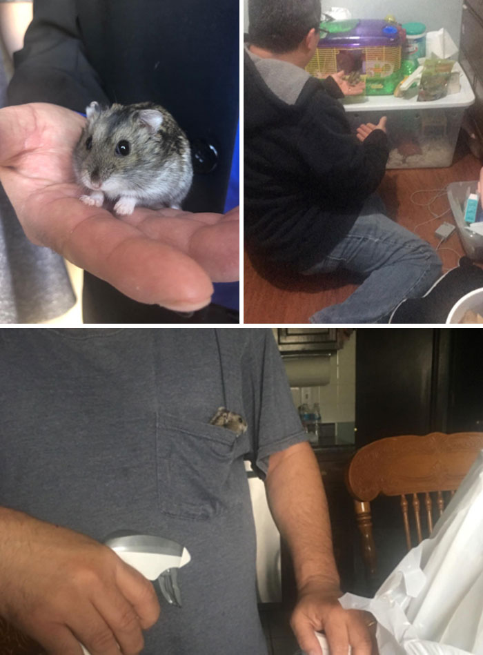 My Dad Says He “Doesn’t Like Animals” Including Hammie