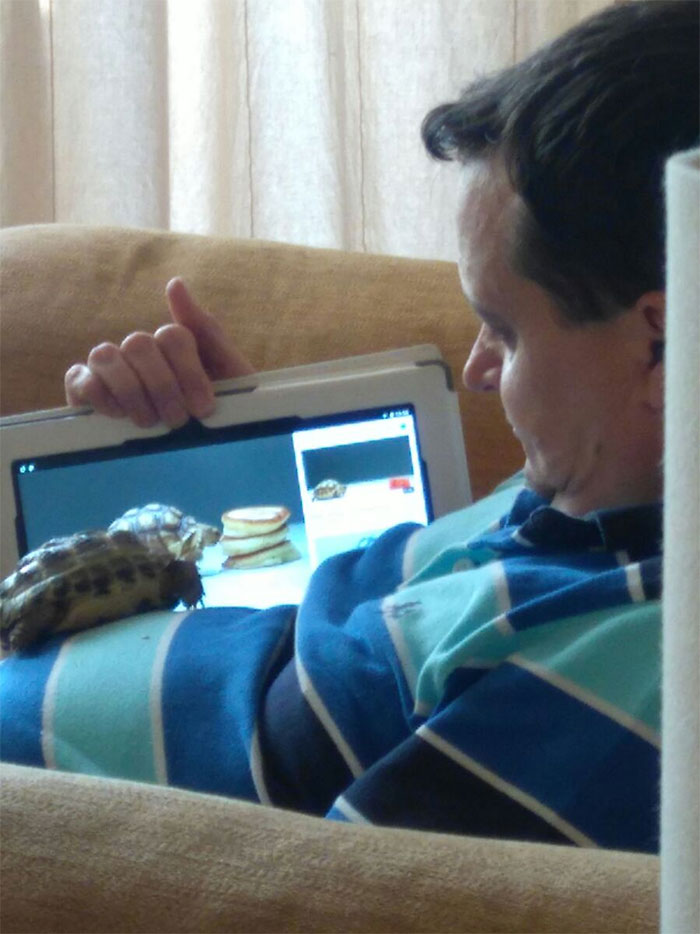 Dad: "If We Get A Tortoise I'm Not Looking After It" Also Dad: "Get Comfy, Hector, And Let Me Show You Pictures Of Your Brethren"