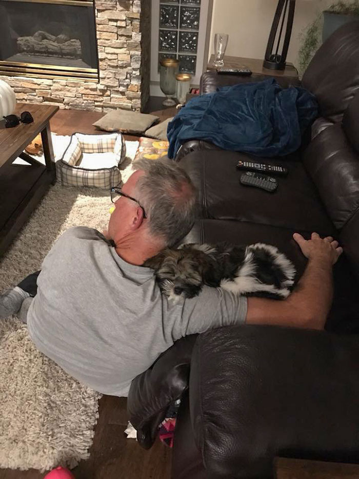 “I Don’t Want Another Dog, You Guys Are Crazy” - My Grumpy Dad Feat Our Second Puppy The Day We Brought Her Home