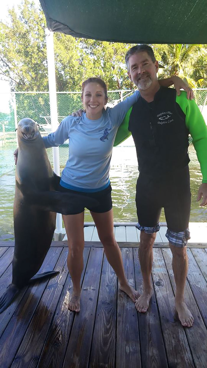 The Look On That Seal's Face