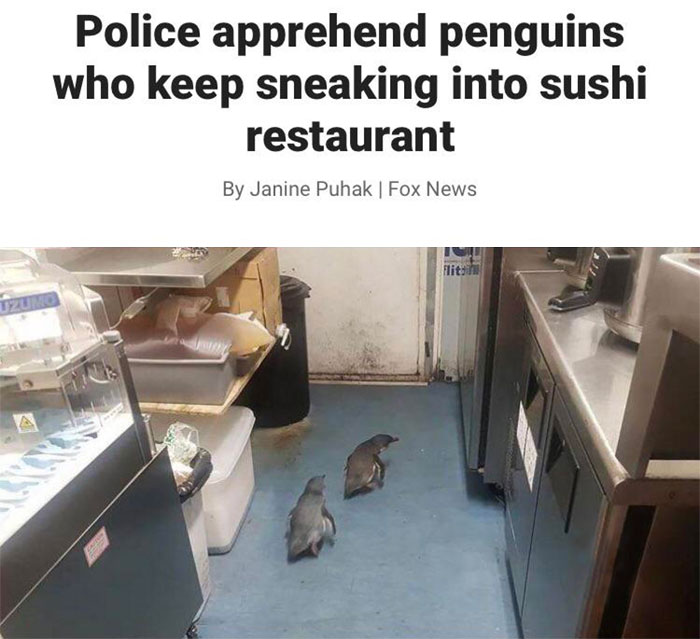 La policía atrapa a unos pingüinos que se colaban en un restaurante de sushi