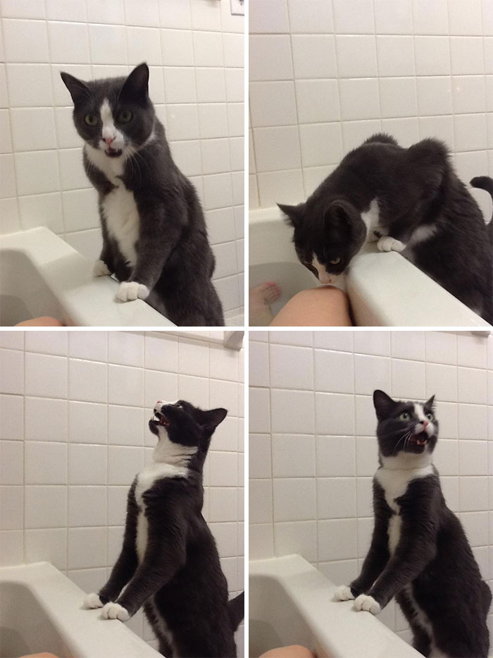 Just A Typical Bath Time With Kiwi