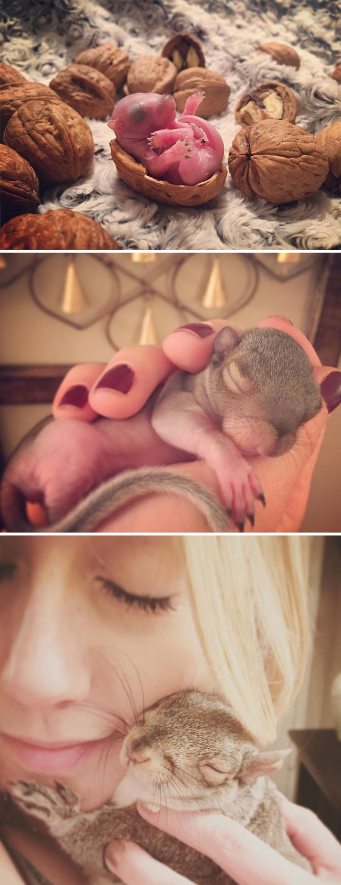 Little Thumbelina Is An Eastern Grey Squirrel, Who Was Born On A Frigid March Morning