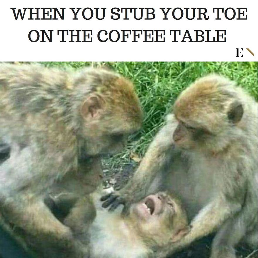 Dam U Coffee Table