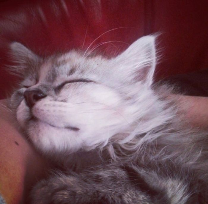 Back When She Used To Like Sleeping In My Arms