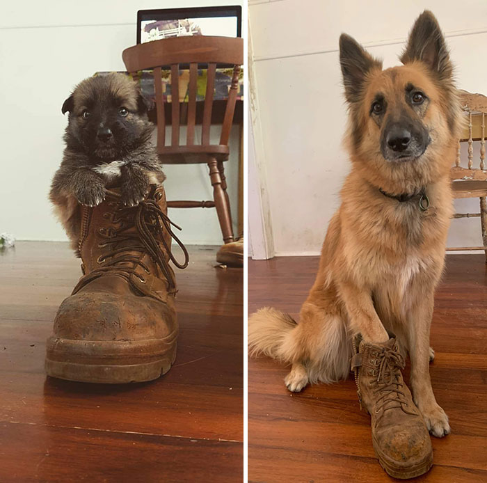 Same Boot, 3 Years Later