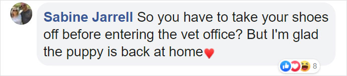 Lost Dog Goes To His Vet To Ask For Help Getting Back Home