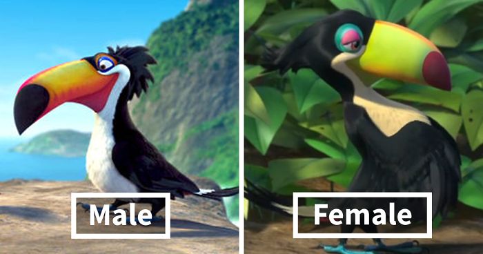 This Is How Animators Exaggerate Female Animal Characters | Bored Panda