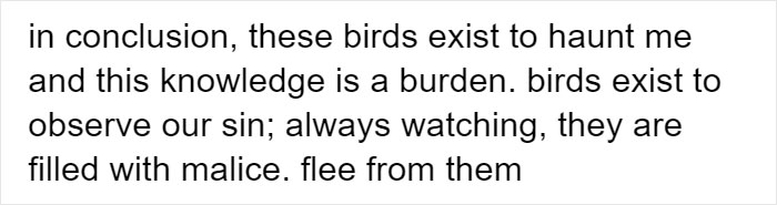 Person Compiles "A Non-Comprehensive List Of Birds That Piss Me Off", And It's A Hilariously Nonsensical Read