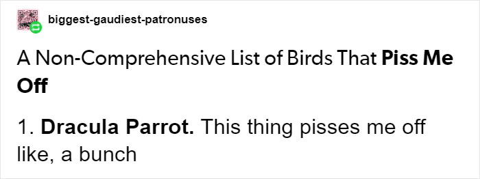 Person Compiles "A Non-Comprehensive List Of Birds That Piss Me Off", And It's A Hilariously Nonsensical Read