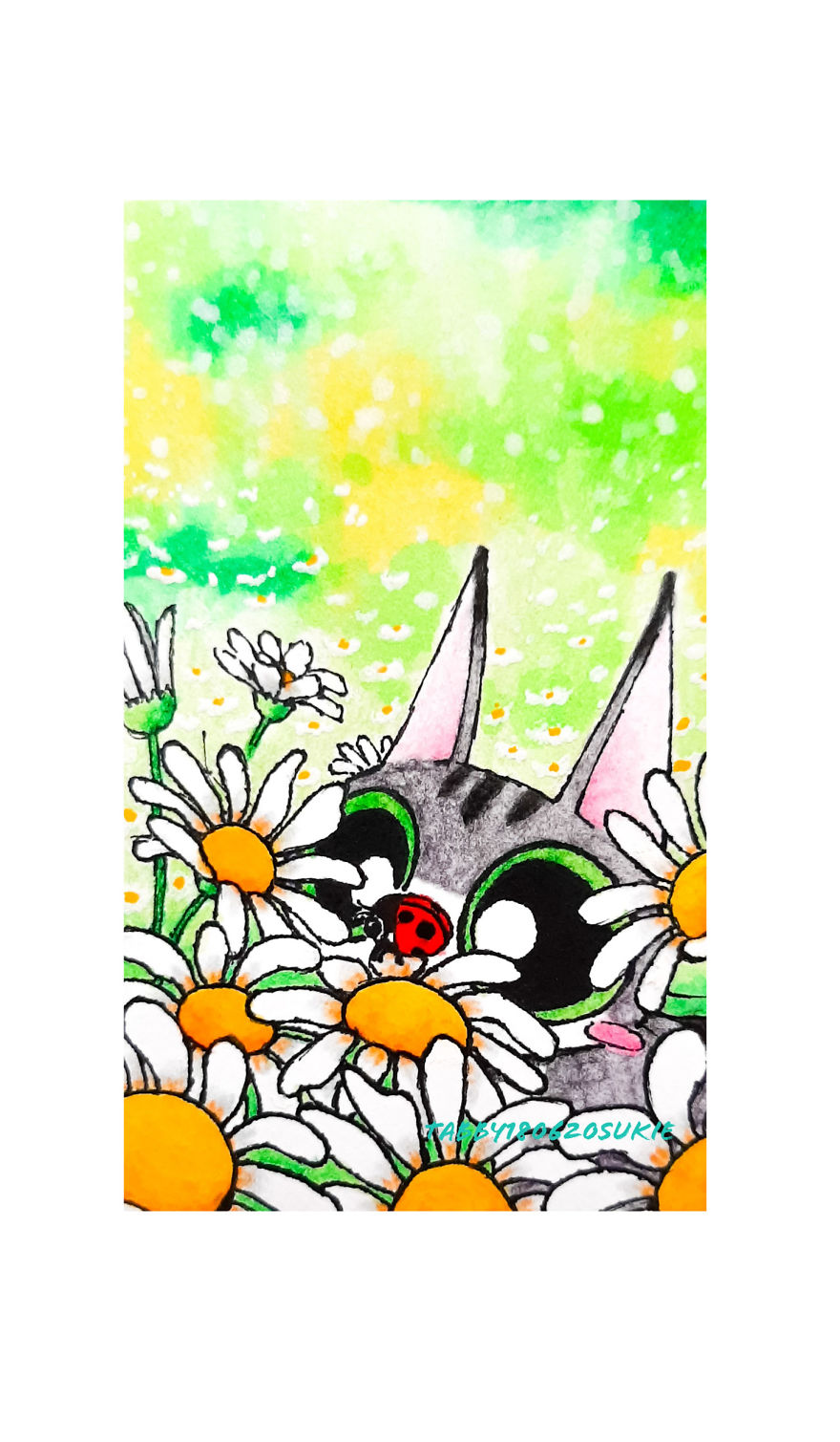 Tabby Cat And Lady Bug