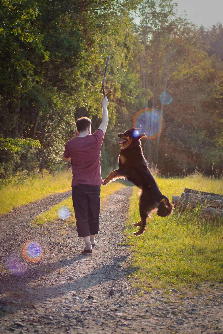 Helping Your Animals Through Challenging Times Helping Your Animals Through Challenging Times